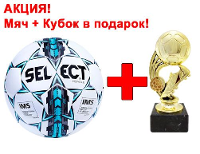 Мяч футбольный SELECT Royale (IMS) РАЗМЕР = 5
