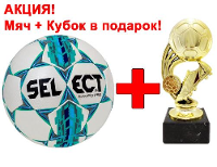 Мяч футбольный SELECT Campo Pro РАЗМЕР = 5