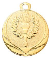 Медаль DI3208