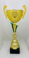 Кубок LUX_1030