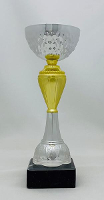 Кубок K5000