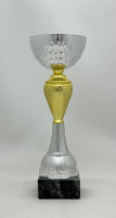 Кубок K5000