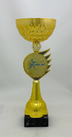 Кубок KT120.G019