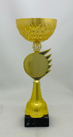 Кубок KT120