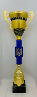 Кубок PSK810
