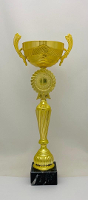 Кубок S50_Gold