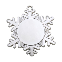 Медаль зірка срібло D47.02 50 мм