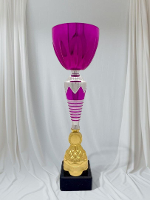 Кубок універсальний LY3529