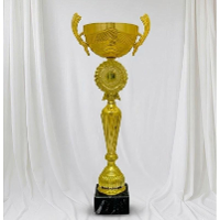 Кубок S50_Gold
